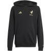 imageadidas Kids Mexico 2025 HoodieBlackGold Metallic