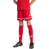 imageadidas Kids Squadra 25 ShortsTeam Power RedTeam Power RedWhite
