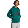 imageadidas mens Essentials Big Logo French Terry HoodieCollegiate GreenBlack
