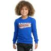imageadidas Boys Long Sleeve Sport Graphic TeeTeam Royal Blue