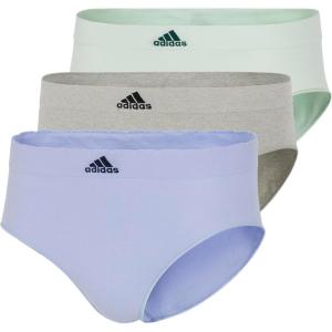 imageadidas womens Seamless Brief Panties 3packBlue Dawn ScallopHeather GreyLinen Green