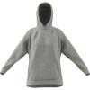imageadidas womens All Szn Bf HoodieMedium Grey Heather