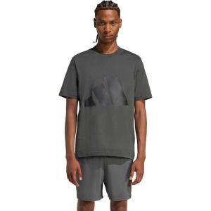 imageadidas Mens Essentials Big Logo TShirtGreyBlack
