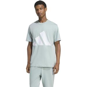 imageadidas Mens Essentials Big Logo TShirtWonder SageWhite