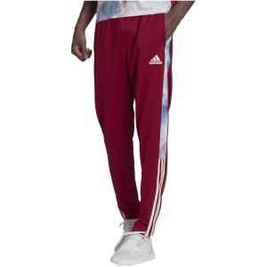 imageadidas Mens Tiro 21 PantsLegacy Burgundy