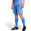 imageAdidas Mens Tiro 24 ShortsBlue Burst