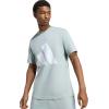 imageAdidas Mens Essentials Big Logo TShirtWonder SageWhite