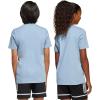 imageAdidas UnisexChild Argentina 50th Anniversary TShirtAmbient SkyCloud White