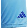 imageAdidas UnisexChild Tiro 24 ShortsShortsSemi Blue BurstTeam Royal Blue