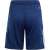 imageAdidas UnisexChild Tiro 24 ShortsShortsTeam Navy BlueWhite
