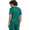 imageadidas Boys Entrada 26 JerseyTeam Dark GreenWhite