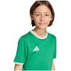 imageadidas Boys Entrada 26 JerseyTeam GreenWhite
