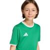 imageadidas Boys Entrada 26 JerseyTeam GreenWhite
