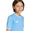 imageadidas Boys Entrada 26 JerseyTeam Light BlueWhite