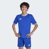 imageadidas Boys Entrada 26 JerseyTeam Royal BlueWhite