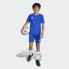 imageadidas Boys Entrada 26 JerseyTeam Royal BlueWhite