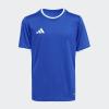 imageadidas Boys Entrada 26 JerseyTeam Royal BlueWhite