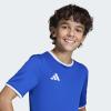imageadidas Boys Entrada 26 JerseyTeam Royal BlueWhite