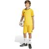 imageadidas Boys Entrada 26 JerseyTeam YellowBlack