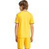 imageadidas Boys Entrada 26 JerseyTeam YellowBlack