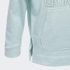 imageadidas Girls Badge of Sport Mlange Fleece Pullover HoodieHalo Mint Heather