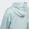 imageadidas Girls Badge of Sport Mlange Fleece Pullover HoodieHalo Mint Heather