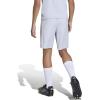imageadidas UnisexChild Entrada 26 ShortsTeam Light GreyWhite