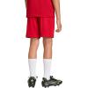 imageadidas UnisexChild Entrada 26 ShortsTeam Power Red White