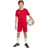 imageadidas UnisexChild Entrada 26 ShortsTeam Power Red White