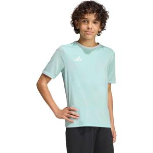 imageadidas Boys Entrada 26 JerseyHalo MintWhite