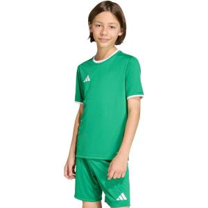 imageadidas Boys Entrada 26 JerseyTeam GreenWhite
