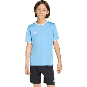 imageadidas Boys Entrada 26 JerseyTeam Light BlueWhite