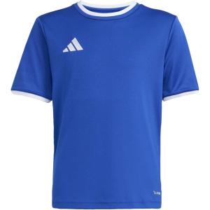 imageadidas Boys Entrada 26 JerseyTeam Royal BlueWhite