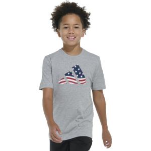 imageadidas babyboys Short Sleeve Patriotic USA Flag Logo TeeHeather Grey American