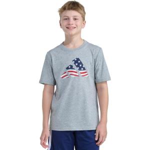 imageadidas babyboys Short Sleeve Patriotic USA Flag Logo TeeMedium Grey Heather