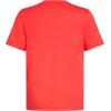 imageadidas Boys Short Sleeve Cotton USA Graphic TShirtBright Red