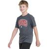 imageadidas Boys Short Sleeve Tiger Camo Bos Cotton Tee T ShirtDark Grey Heather