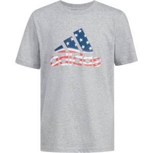 imageadidas Boys Short Sleeve Cotton USA Graphic TShirtGrey Heather Flag