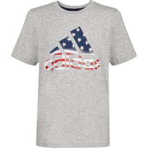 imageadidas Boys Short Sleeve Cotton USA Graphic TShirtGrey Heather With Red