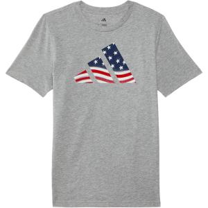 imageadidas Boys Short Sleeve Cotton USA Graphic TShirtHeather Grey American