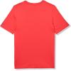 imageadidas Boys Stay Dry Climalite Short Sleeve TShirtRuby Red American