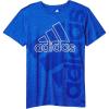 Team Royal Blue Heather