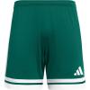 Team Dark Green/White