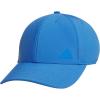 Ray Blue/3