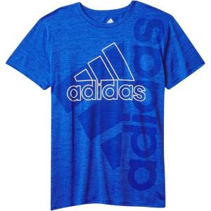 imageadidas Boys Stay Dry Climalite Short Sleeve TShirtTeam Royal Blue Heather