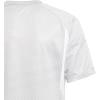 imageadidas Kids Boys Tiro23 Competition V Neck Short Sleeve Jersey Soccer Cleats Breathable  GreyGrey