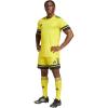 Team Yellow/Black