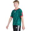 imageadidas Boys Short Sleeve World Cup Soccer TopBold Green