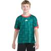 imageadidas Boys Short Sleeve World Cup Soccer TopBold Green