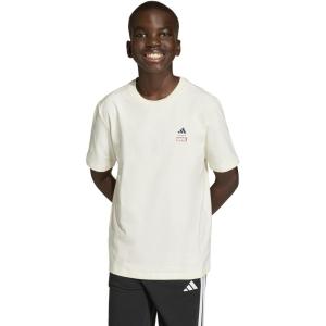 imageadidas Boys Marvel SpiderMan Graphics TShirtOff WhiteDark BlueSpiderman